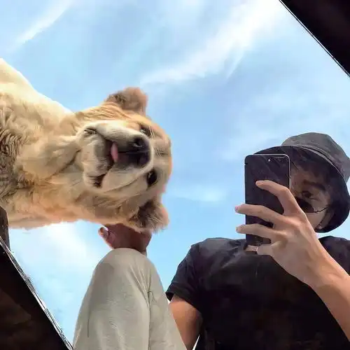 头像和基友换上