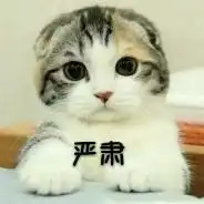 女童眼睛被塞数十片纸片,案犯们,你们这些祖国的花朵是食人花嘛
