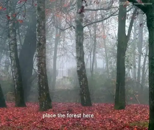 ps教程合成梦幻唯美的森林仙子场景