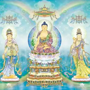 我的收藏